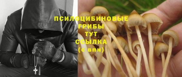 первитин Горняк