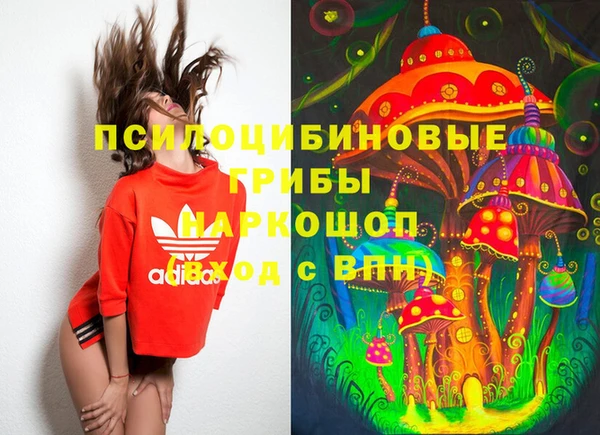 первитин Горняк
