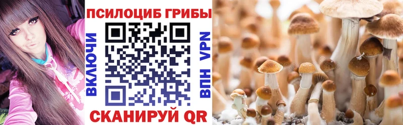 где продают наркотики  Ивангород  Галлюциногенные грибы Cubensis 